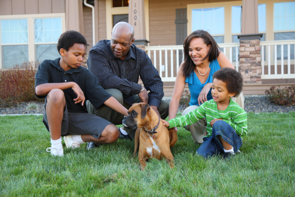 10 Dicas de Como Preparar o Ambiente para Receber um Pet com Crianças Pequenas