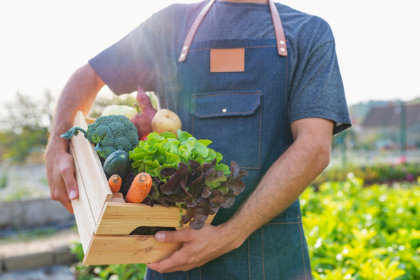 Alimentação Sustentável: Impacto na Saúde e no Planeta